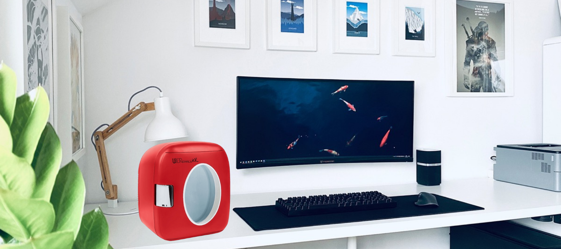 Best Desktop Mini Fridge's for those that Work From Home
